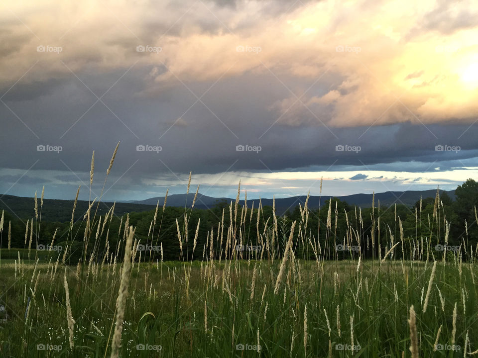 Fields and Sky 