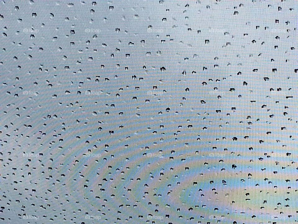 rainbow on screen. raindrops and rainbows caught on screening after the storm