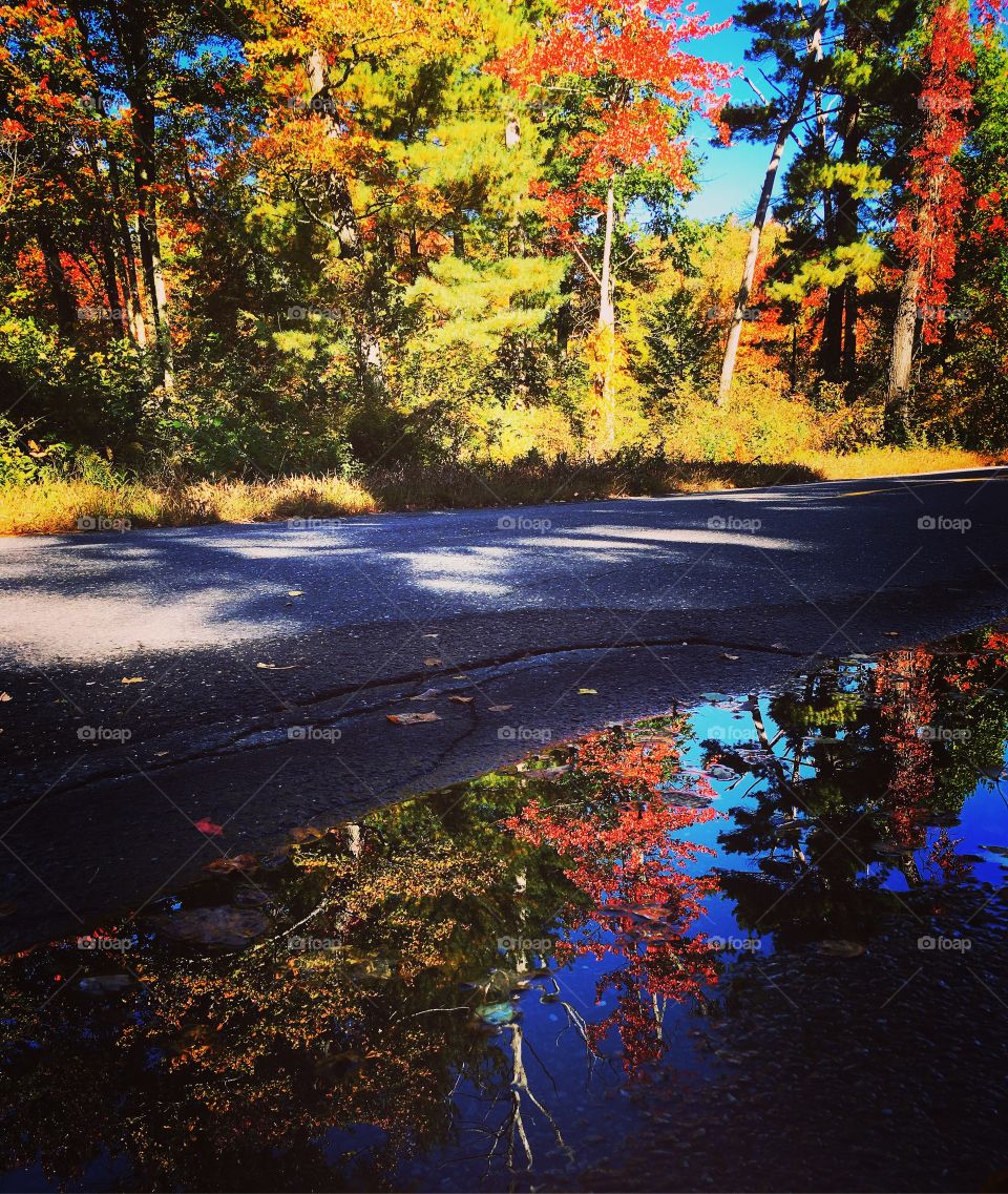 Reflections in a puddle