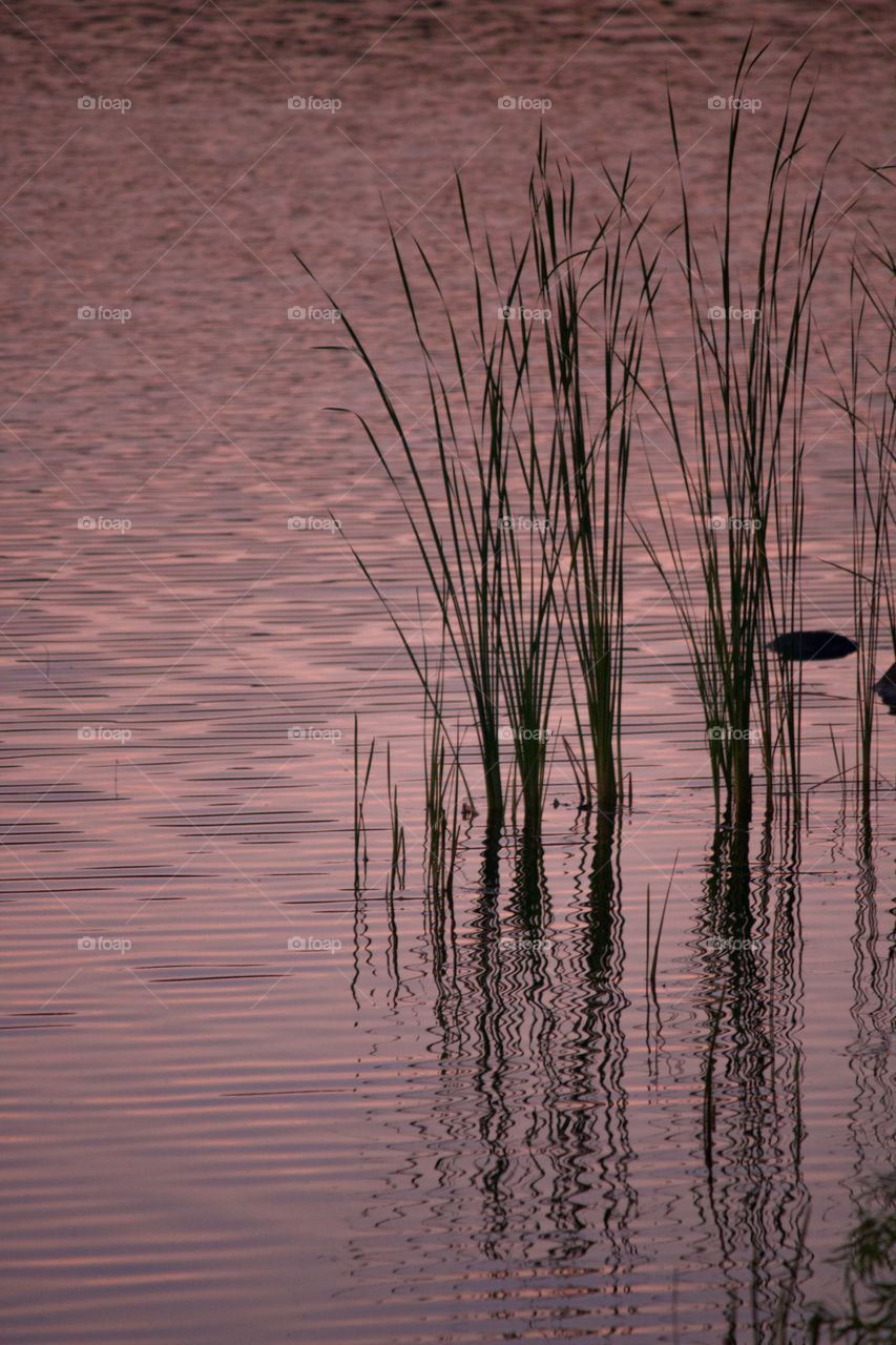 Sunset by the lake