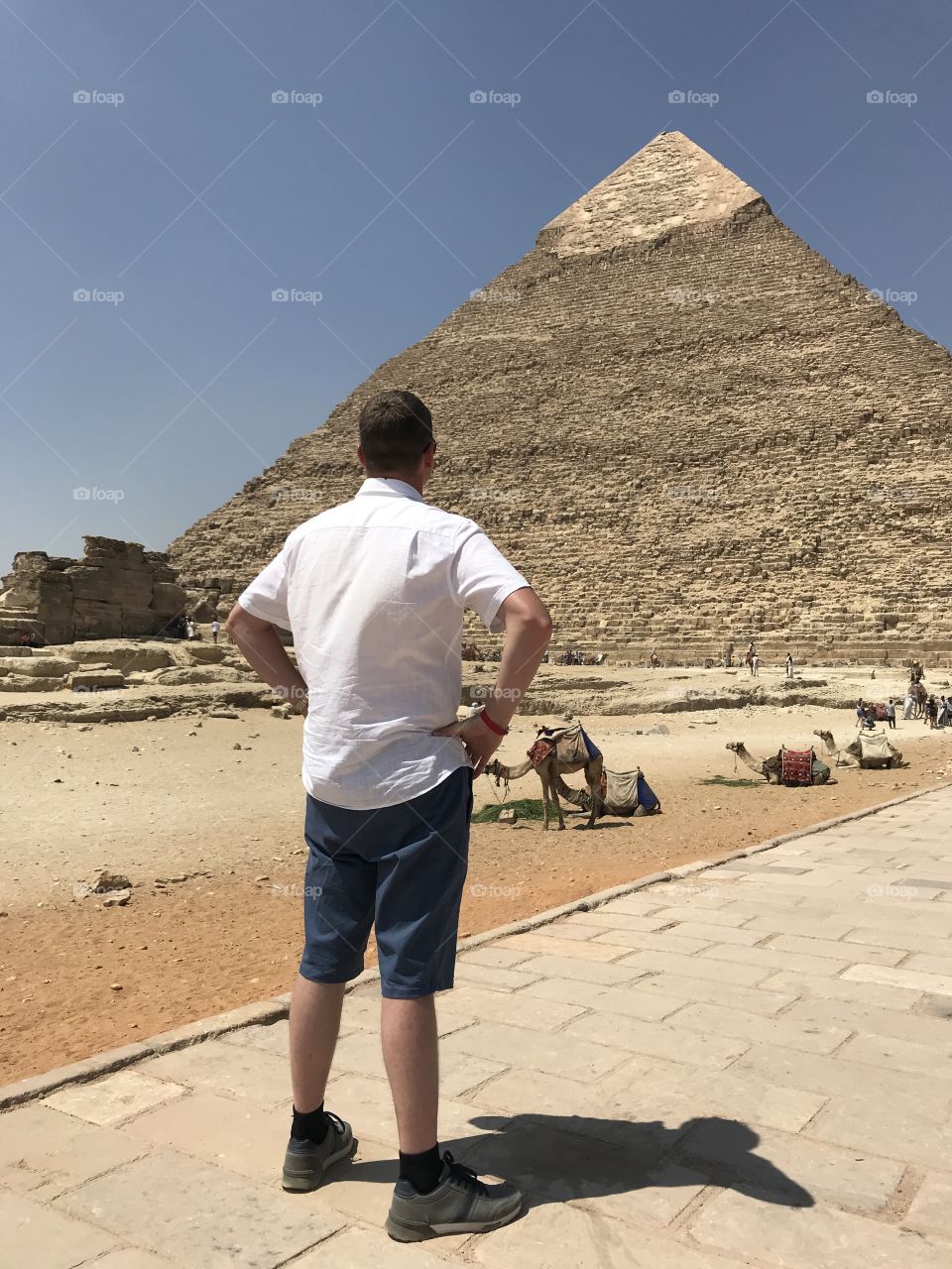 The great Pyramids of Giza. Pyramid of Khafre.