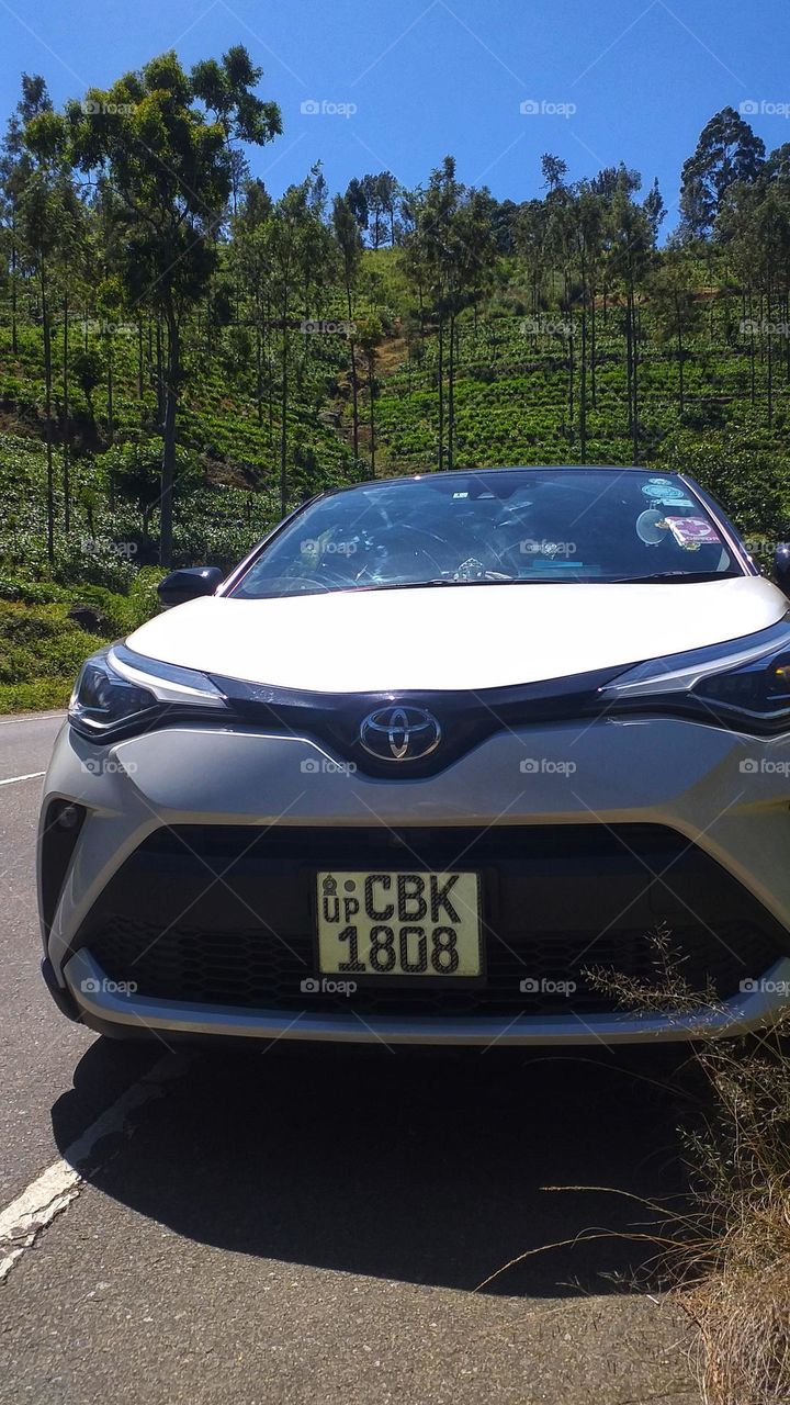 Car with nature