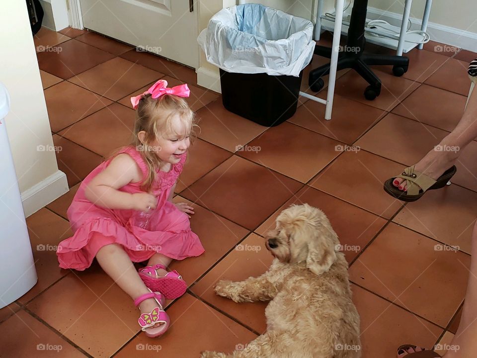 Cute toddler and dog