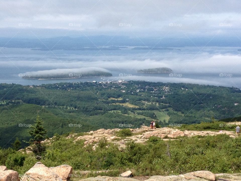 Foggy Islands