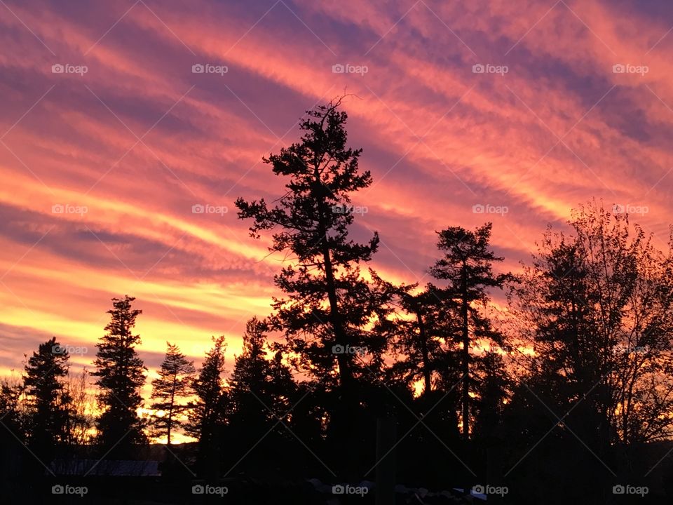 Fall BC sunset 