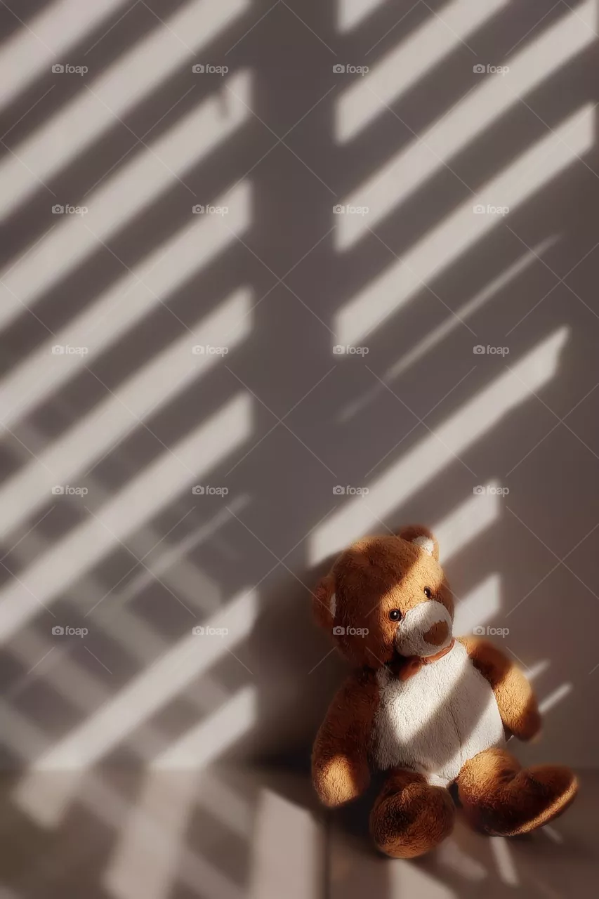 Teddy bear