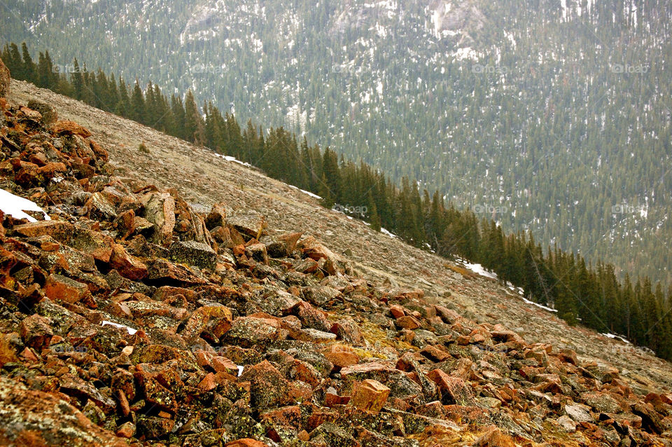 snow trees forest rocks by refocusphoto