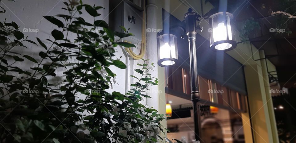 Beautiful light bulb