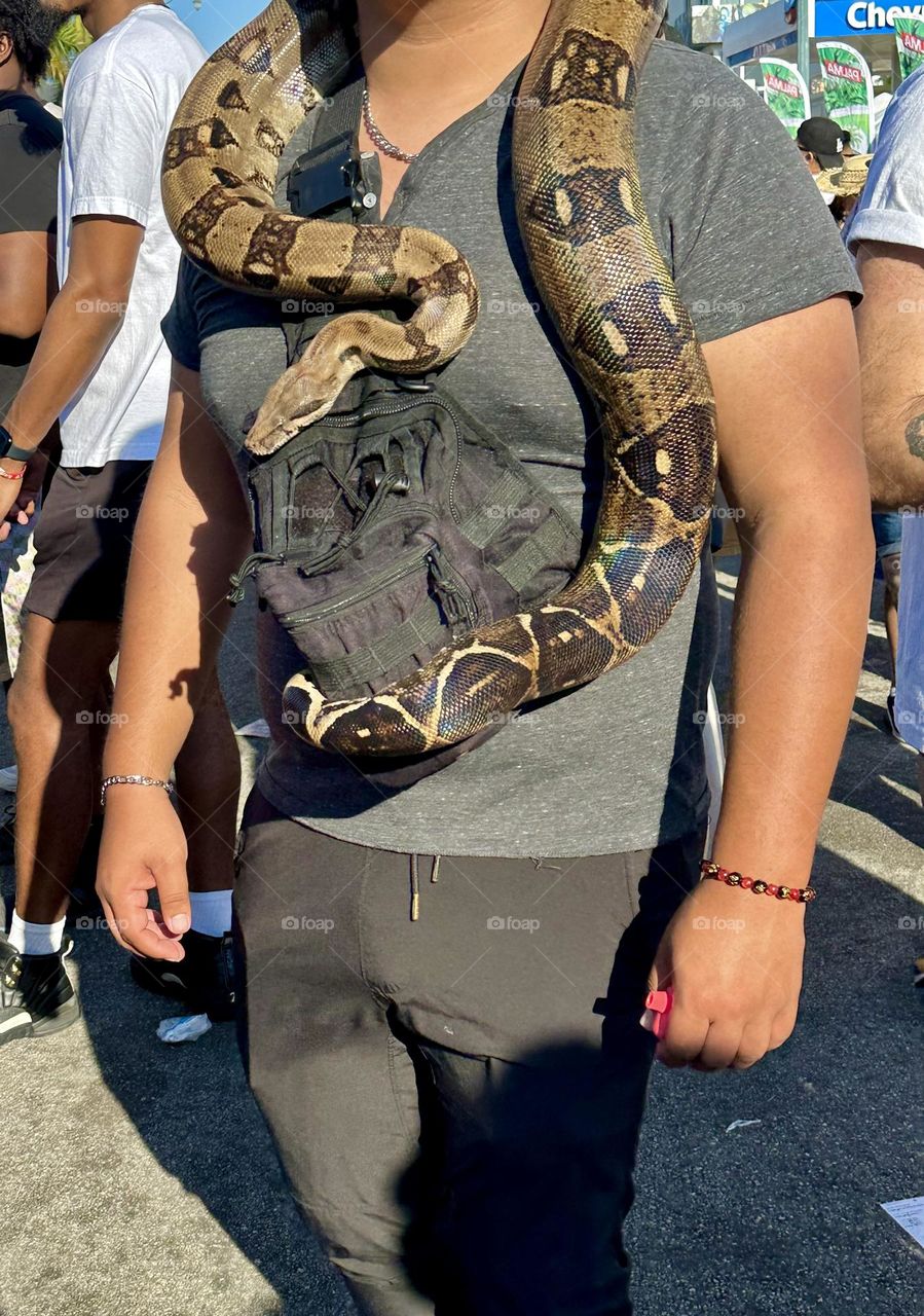 Man walking with a Boa constrictor - Pets aren’t always the easiest subjects to photograph. No matter how many times you ask them to look at the camera, in the end, they’re going to do whatever they want to do.
