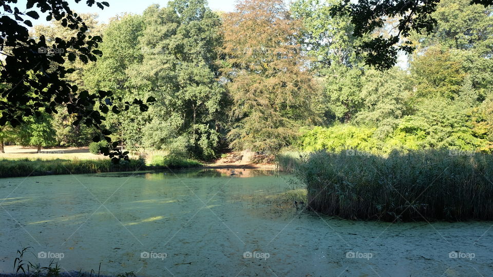 Park "Den Brandt" in Antwerp