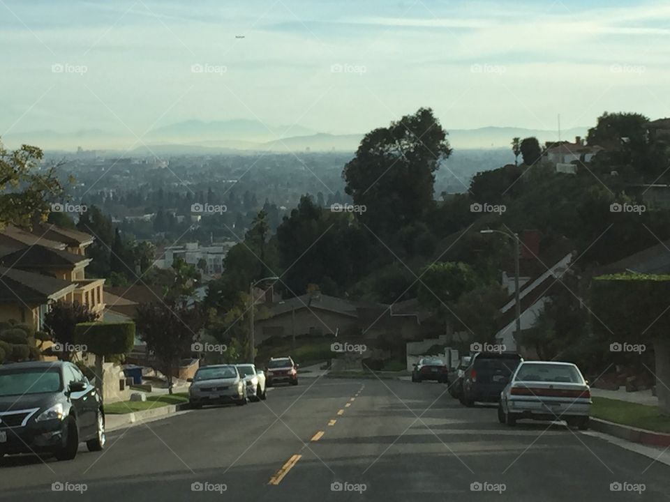 Hills of LA