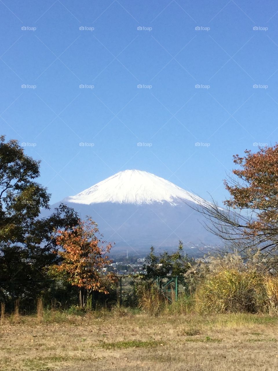 Mount Fuji