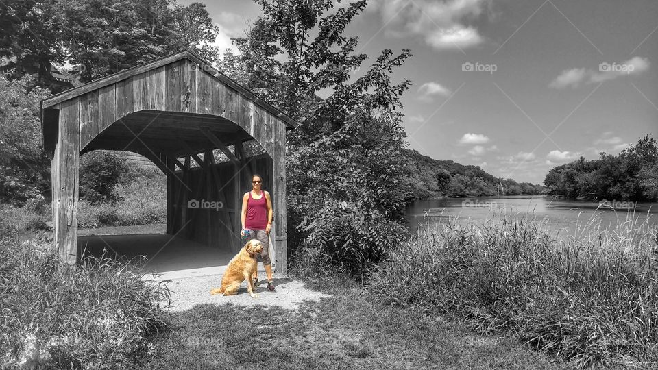 Wooden bridge companions