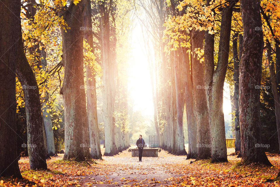 Man standing in forest