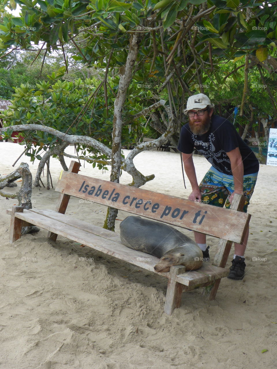 Park bench occupied