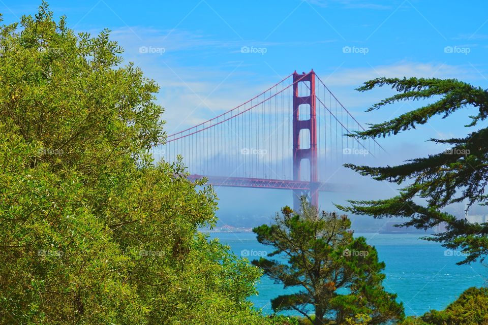 San Francisco Golden Gate Bridge In The Fog
