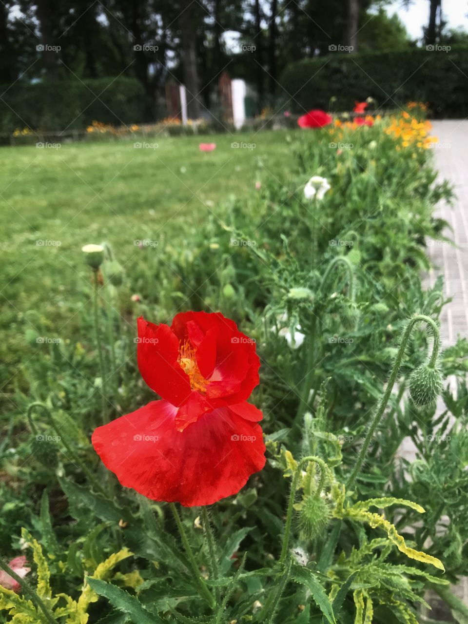 It may droop but it’s still cool