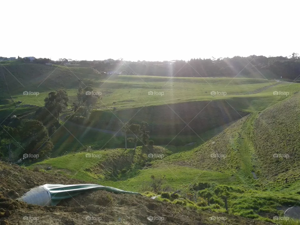 sunlight