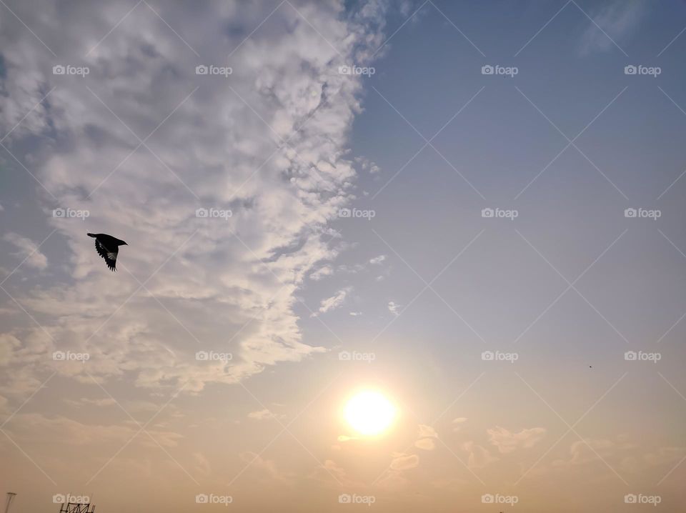 Eagle flying on the sky towards the Sun
