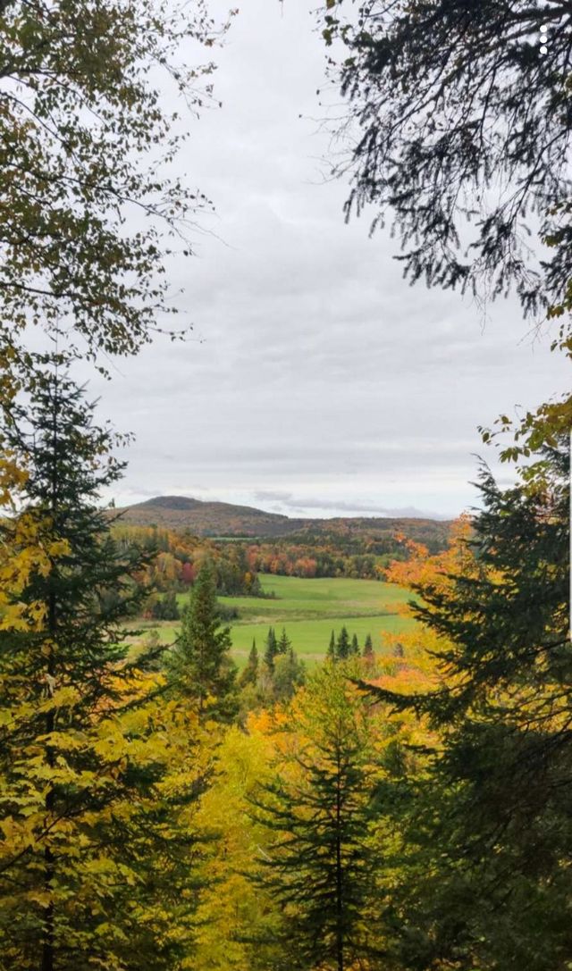 Colorful fall season