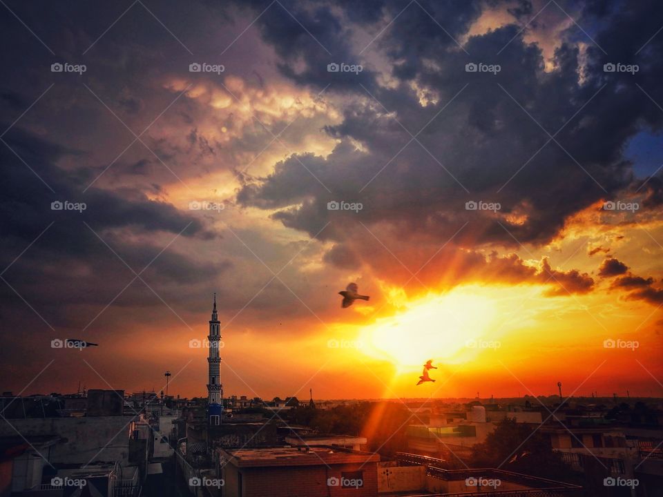 Glorious Golden Hour