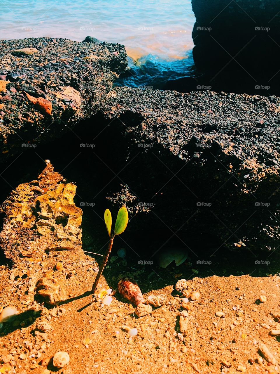 Surrounded by darkness we still grow