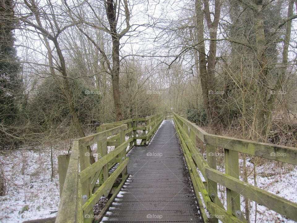 Woodland Bridge In Winter