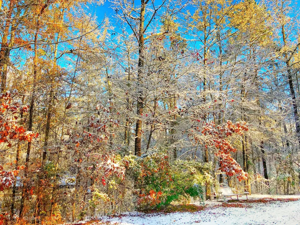 Winter Chill