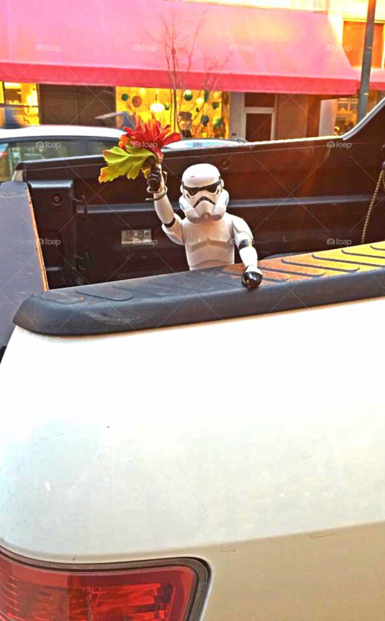 Flower-wielding Storm Trooper toy Seen on the street.