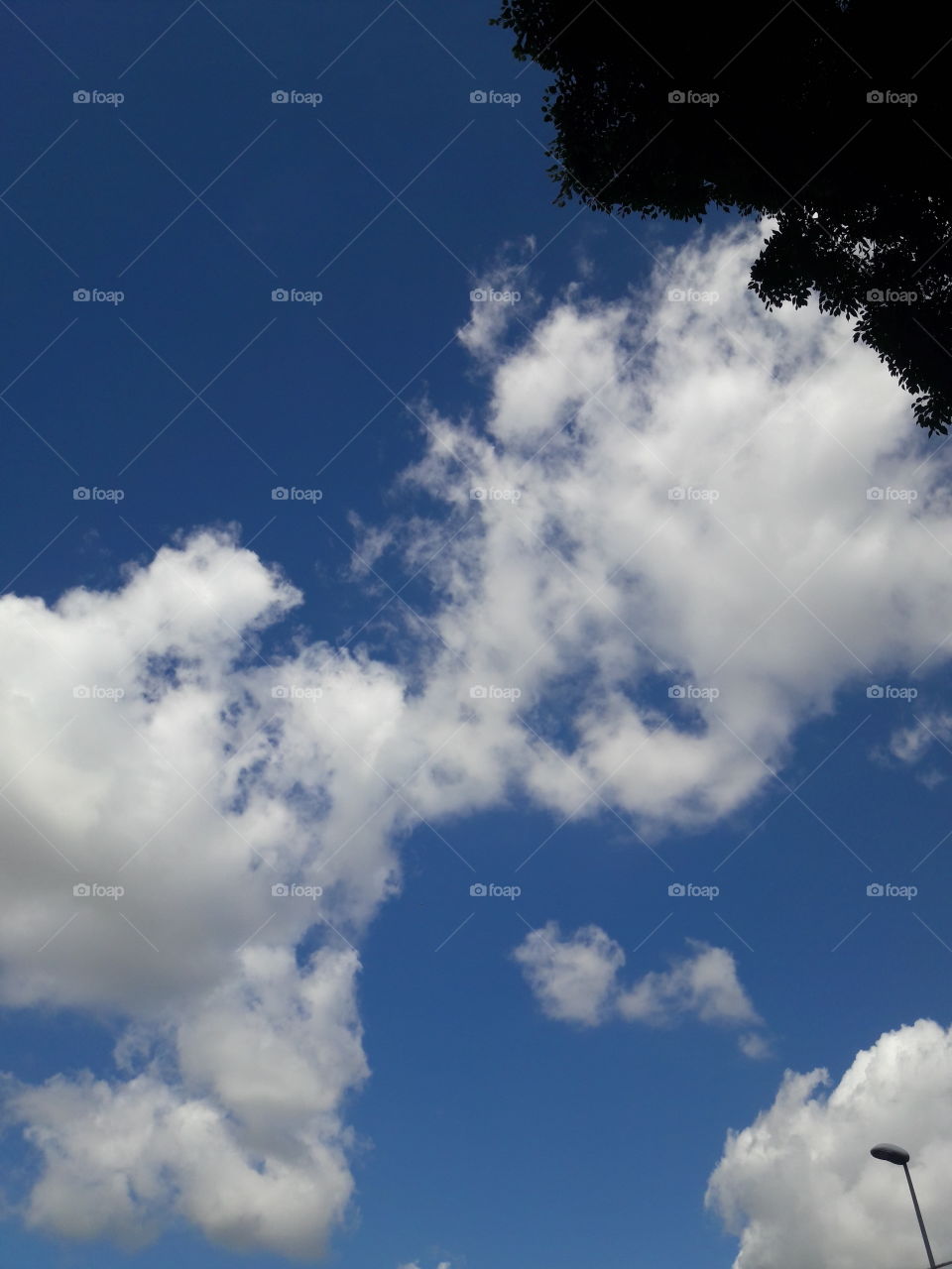 Ferrara clouds