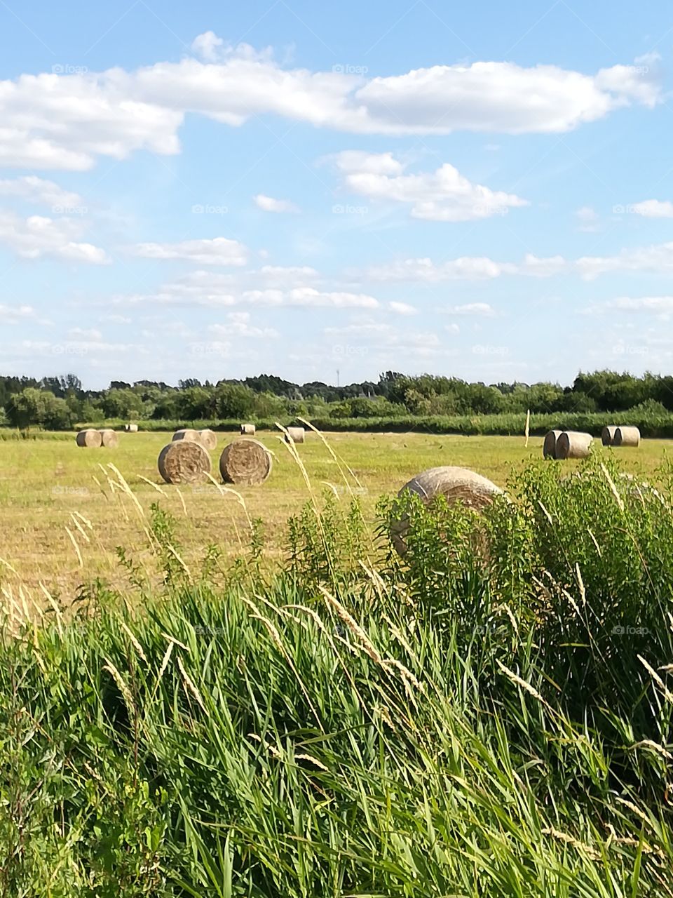 Beauty of countryside