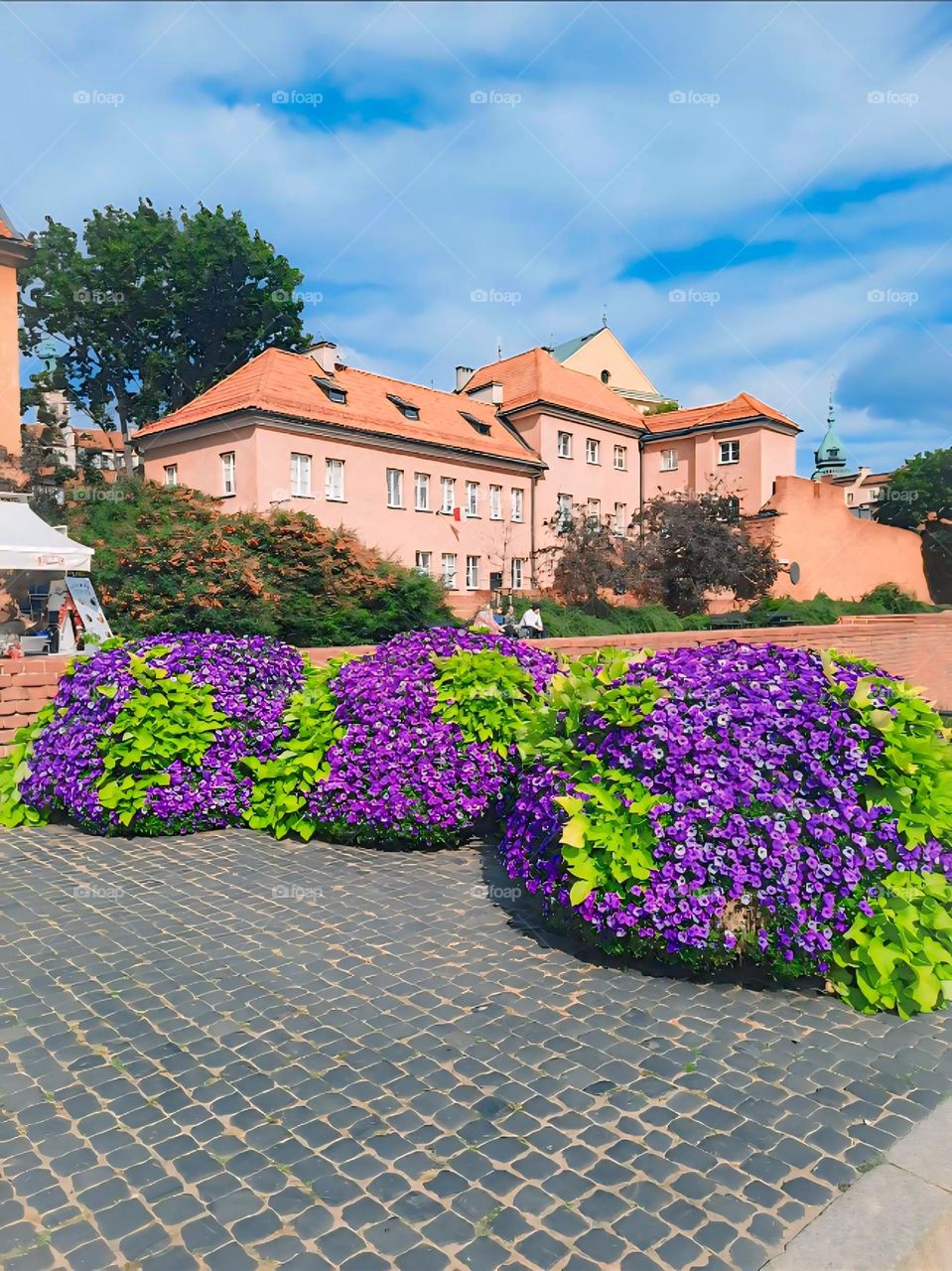 Vibrant Floral Display in Front of Historic Architecture