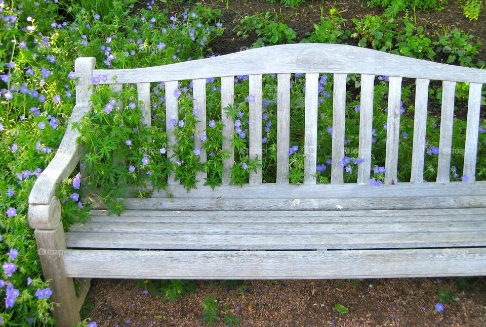 flower bench. day at the gardens