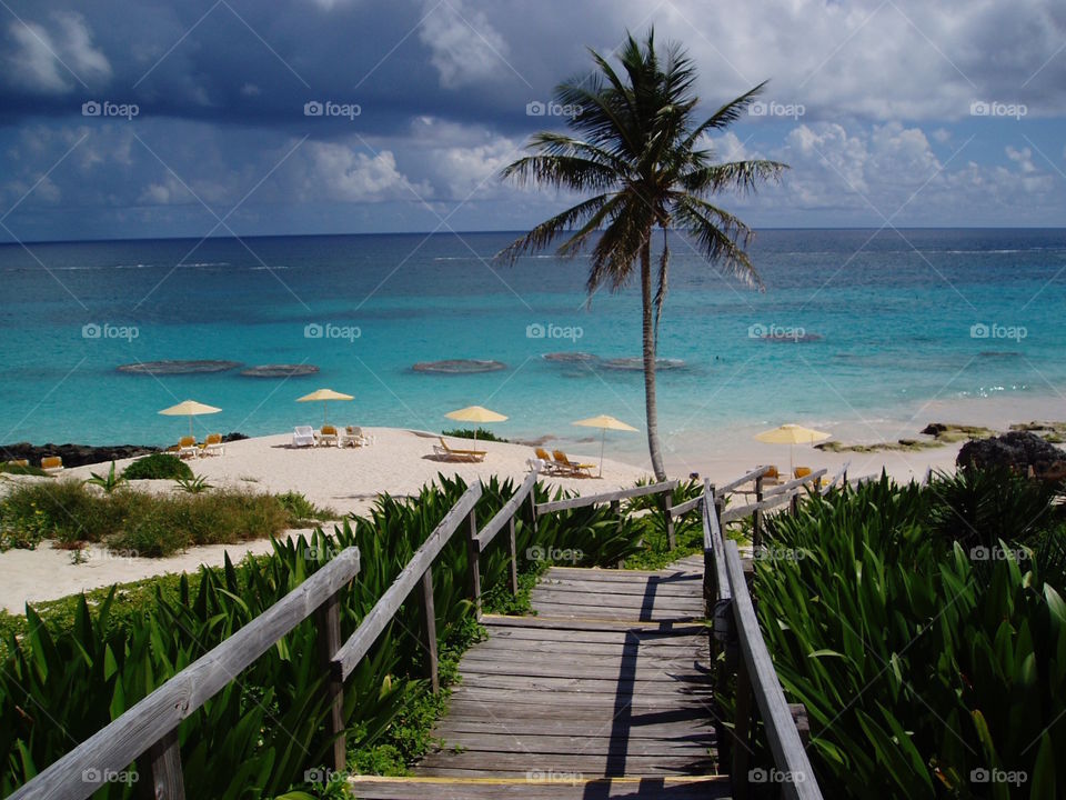 Scenic view of a beach