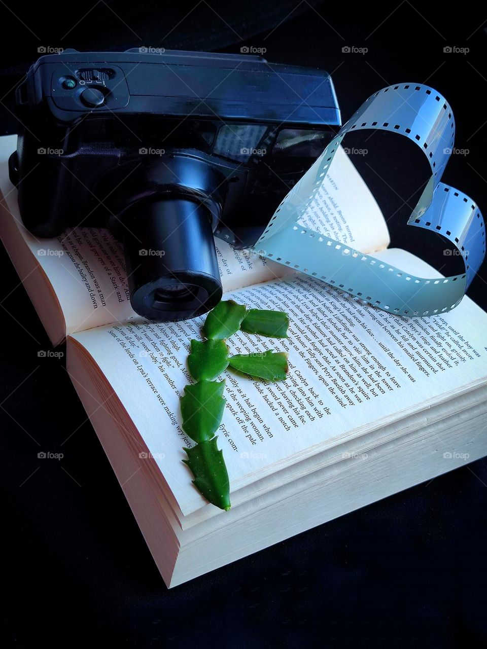 An open book lies on a black background.  On top of the book is a black camera holding a heart-shaped film.  On the book lies a green stem of a cactus in the shape of the letter "F"