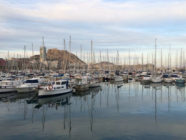 harbor