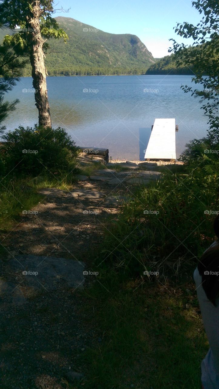 Water, No Person, Landscape, Tree, Seashore