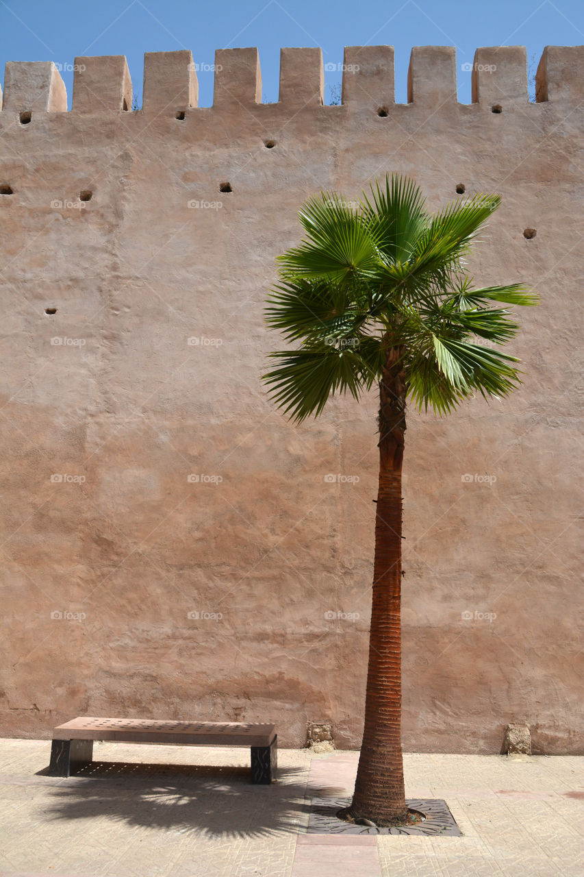 city castle wall with a bench and palm tree