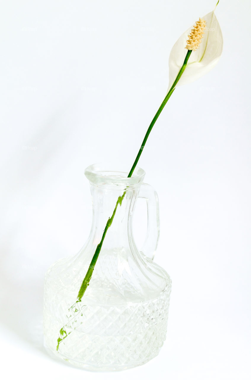 glass cruet with a flower inside.