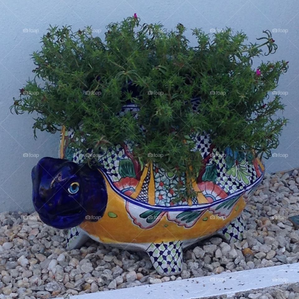 Turtle planter