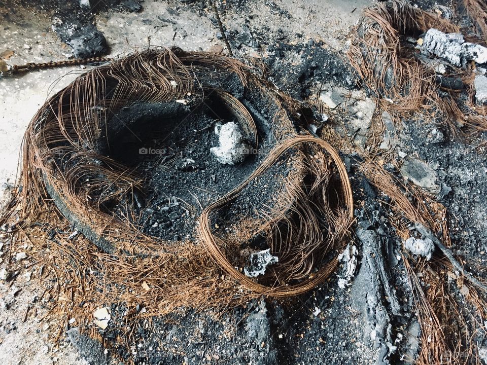 Abandoned Knox Nursery in Florida 