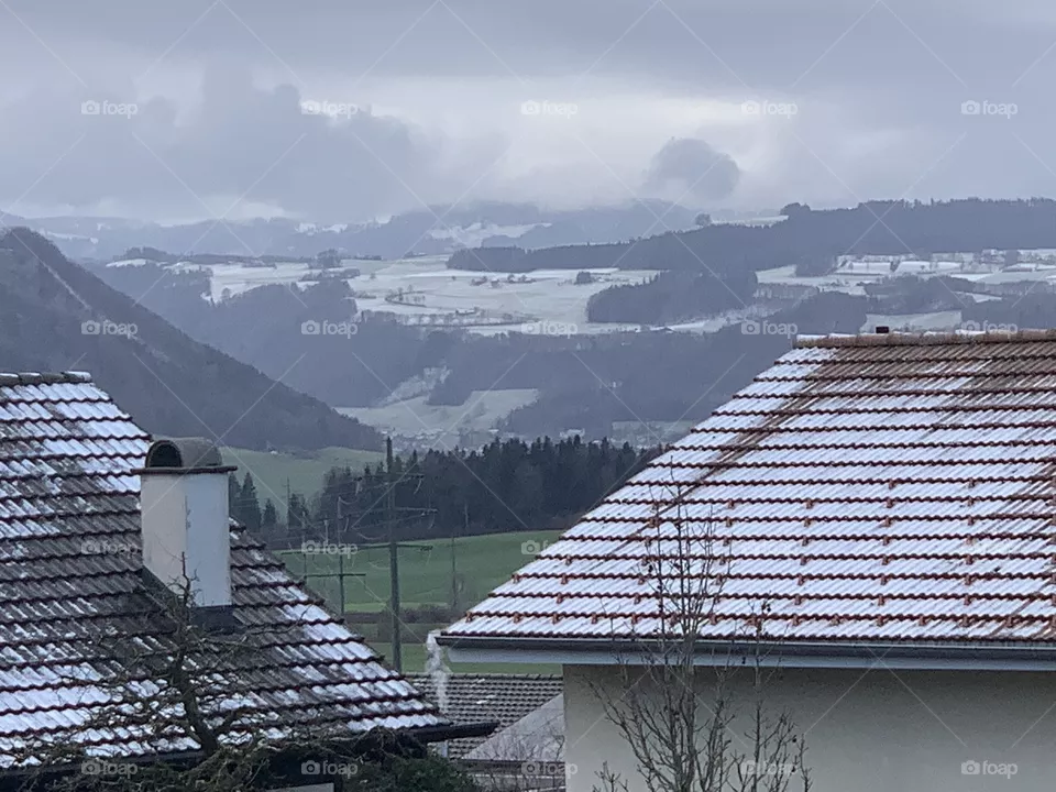 Swiss
