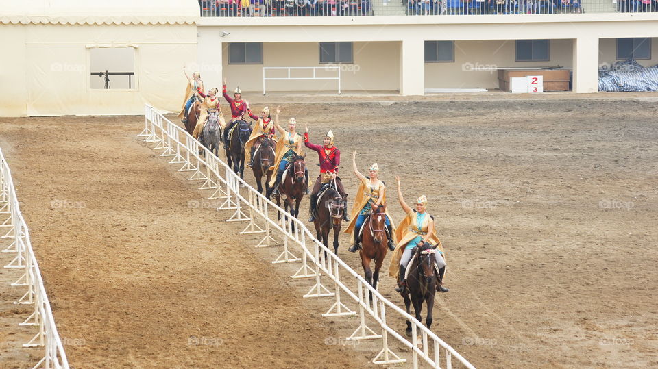 Equestrian performances 馬術表演