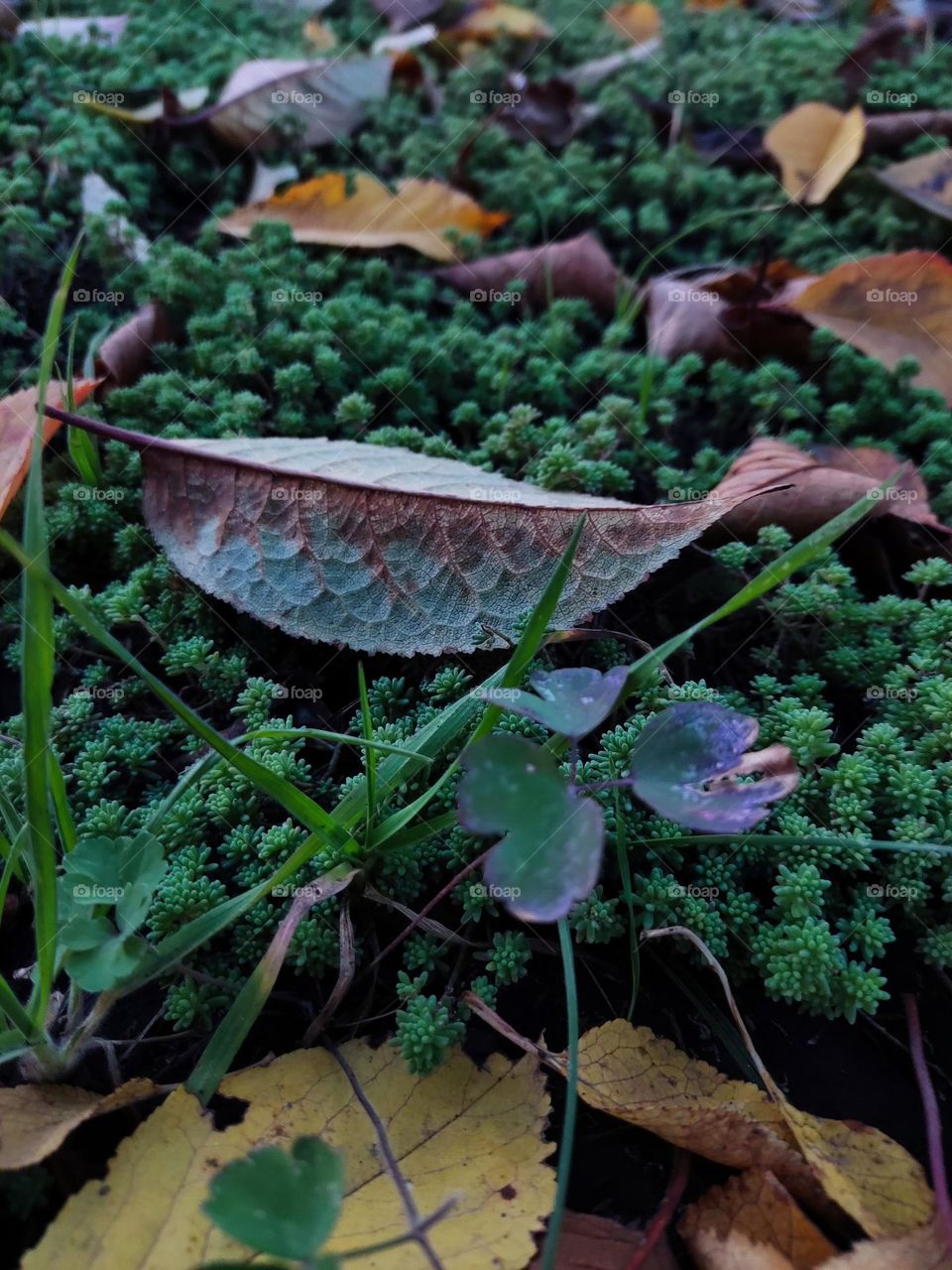 The beauty of autumn is at every turn.