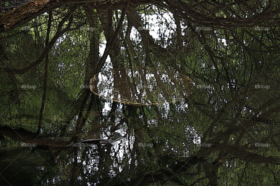 Round object in lake