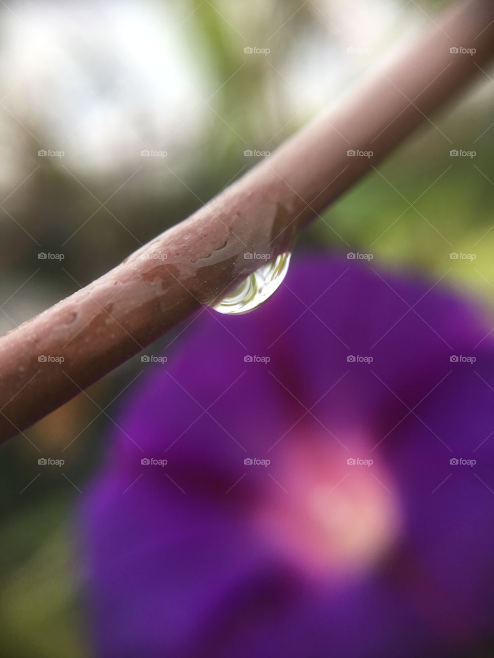 Drop of rain