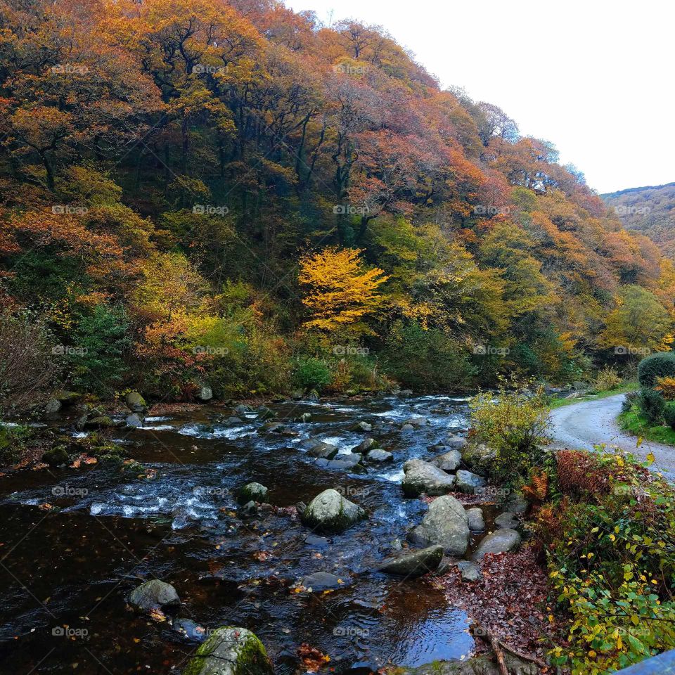 watersmeet, North Devon