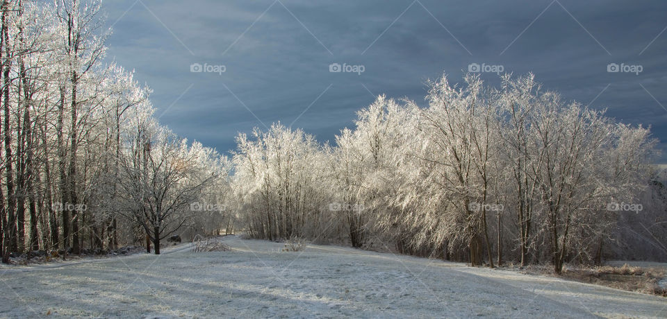 Sunrise over a ice encased landscape after an ice storm