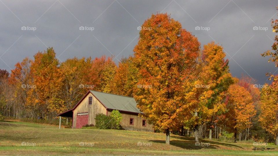 Vermont in the Fall