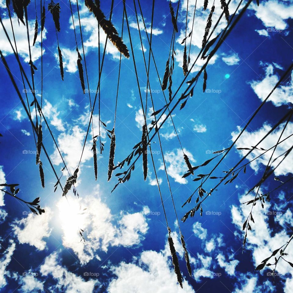 Spring is in the Air